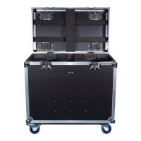 Twin Titan Beam T3 Flight Case