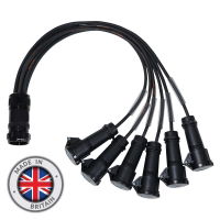 Socapex 19-Pin Male - 16A Mennekes Female 1.5mm Fan-Out Cable