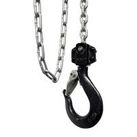 Mini Chain Hoist, 250kg 10m