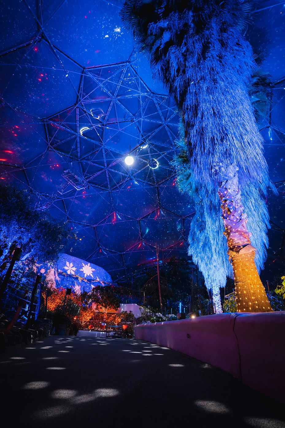 275 LEDJ Fixtures illuminate Christmas at Eden