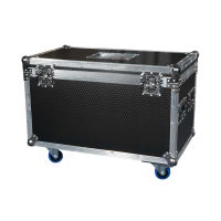 4 Way Fusion 150 Spot/Fusion 300FX Flight Case